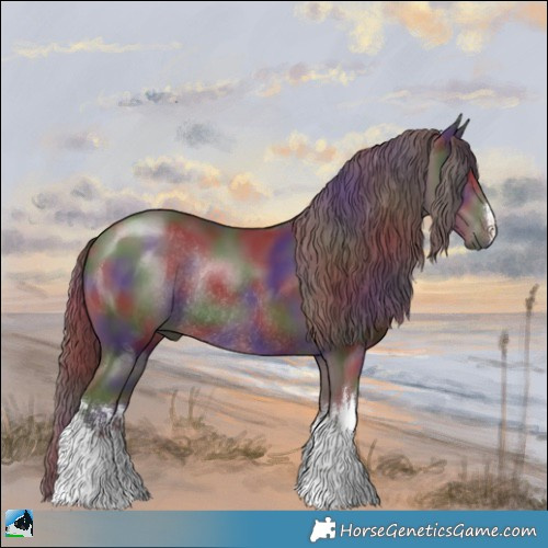 Horse Color:Nacre White Spotted Chocolate Black Chinchilla Rabicano 