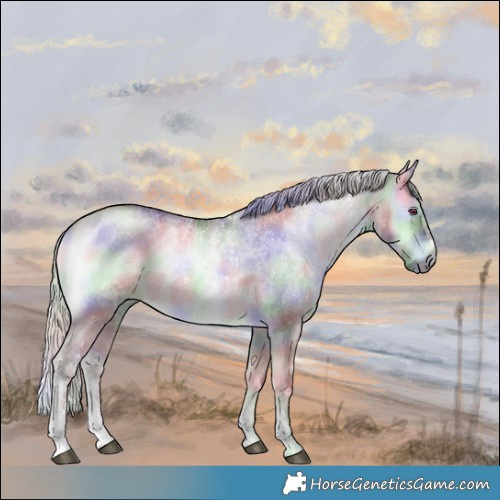Horse Color:Nacre Chocolate Silver Brown Chinchilla Onyx Sabino