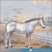 Horse Color:Nacre Chocolate Silver Brown Chinchilla Onyx Sabino 
