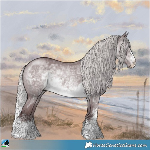 Horse Color:Chocolate Silver Brown Chinchilla Sabino 