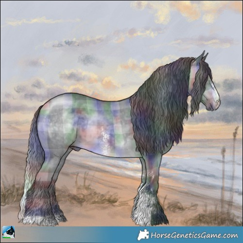 Horse Color:Nacre Plaid  Brown Chinchilla Sabino 