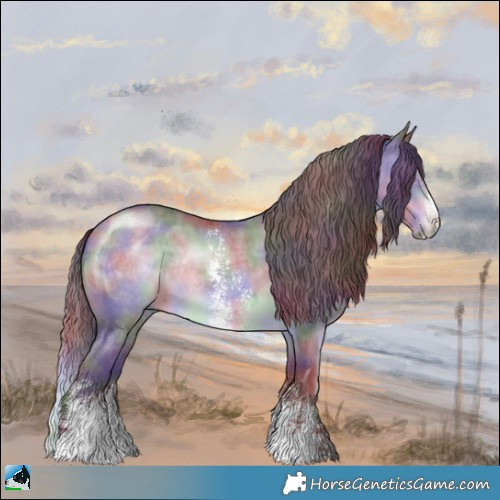 Horse Color:Nacre Chocolate Brown Chinchilla Sabino Rabicano 