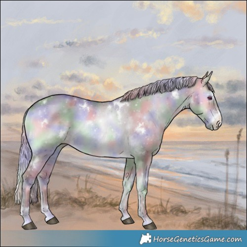 Horse Color:Nacre White Spotted Chocolate Silver Brown Chinchilla Onyx Sabino Rabicano 