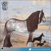 Horse Color:Chocolate Brown Chinchilla 