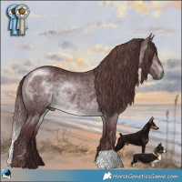 Horse Color:Chocolate Brown Chinchilla 