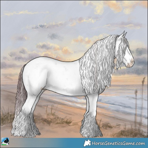 Horse Color:White Spotted Chocolate Brown Chinchilla Sabino 