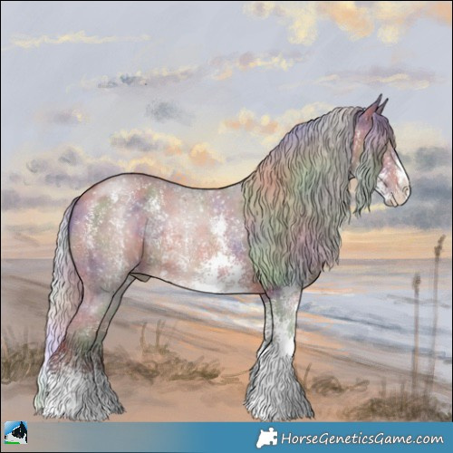 Horse Color:Nacre Silver Brown Sabino 