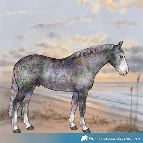 Horse Color:Nacre Chocolate Silver Brown Chinchilla Ice Onyx Sabino 