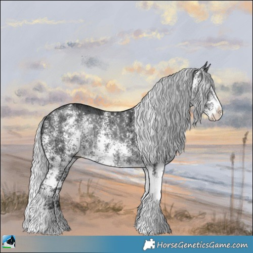 Horse Color:Silver Brown Chinchilla Ice Sabino Rabicano 