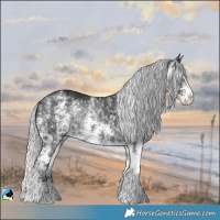 Horse Color:Silver Brown Chinchilla Ice Sabino Rabicano 