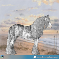 Horse Color:Silver Brown Chinchilla Ice Sabino Rabicano