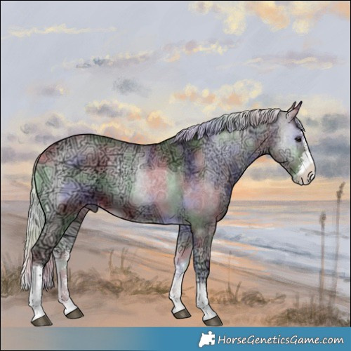 Horse Color:Nacre Chocolate Silver Blue Onyx Chinchilla Ice Sabino 