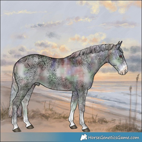 Horse Color:Nacre Plaid  Chocolate Silver Brown Chinchilla Ice Onyx Sabino Rabicano 