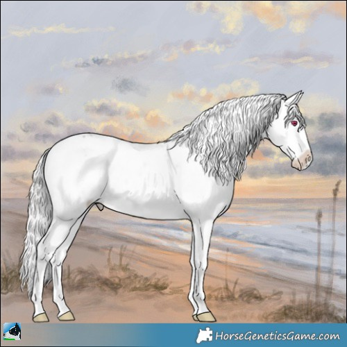 Horse Color:Chocolate Silver Buckskin Chinchilla Sabino 