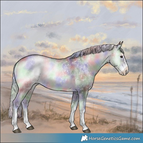 Horse Color:Nacre Chocolate Silver Blue Onyx Chinchilla Sabino 