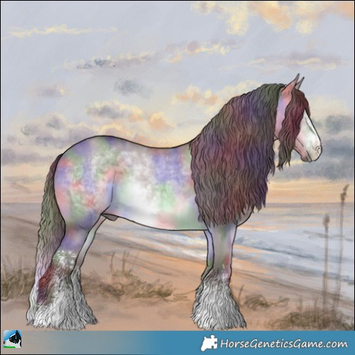 Horse Color:Nacre Chocolate Brown Chinchilla Dun Sabino Rabicano 