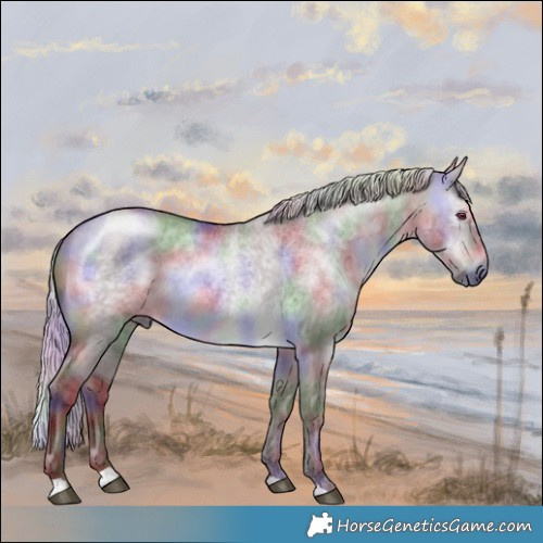 Horse Color:Nacre Chocolate Silver Brown Chinchilla Dun 