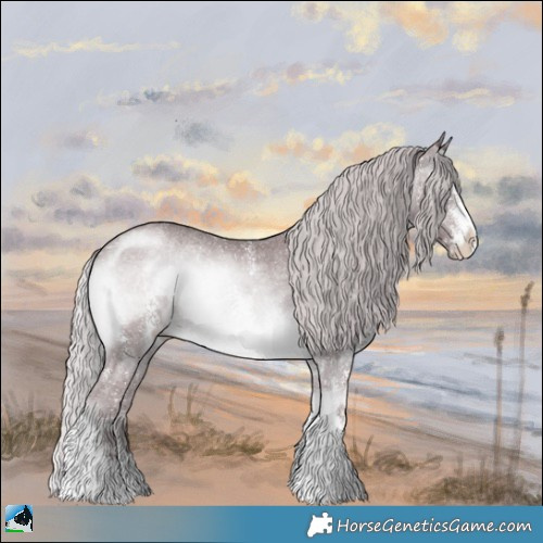 Horse Color:Chocolate Silver Brown Chinchilla Onyx Sabino