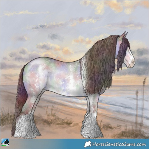 Horse Color:Nacre Chocolate Brown Chinchilla Sabino Rabicano 