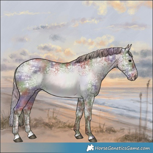 Horse Color:Nacre Chocolate Silver Grullo Ice 