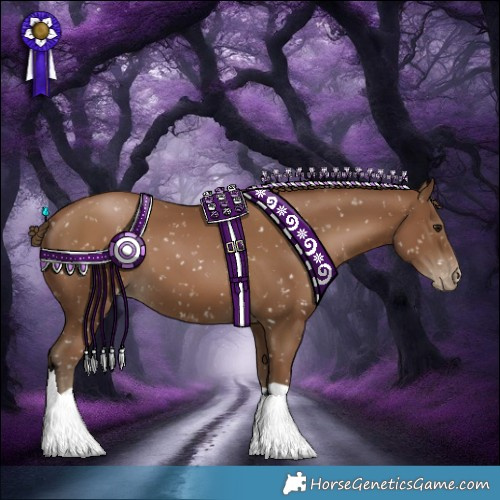 Horse Color:Gray Black Pearl Appaloosa