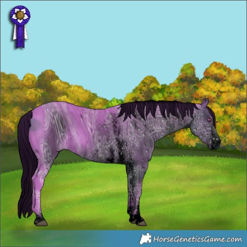 Horse Color:ERROR: UNKNOWN ANOMALY