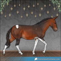 Horse Color:Bay Tobiano 