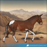 Horse Color:Liver Chestnut Tobiano 