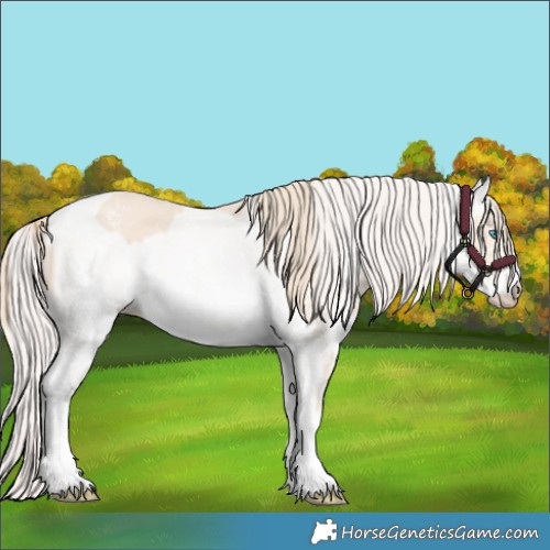 Horse Color:Perlino Sabino and Perlino Sabino