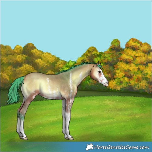 Horse Color:Watercolor Bay Onyx Sabino Rabicano 