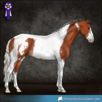 Horse Color:Silver Bay Tobiano Frame Rabicano 