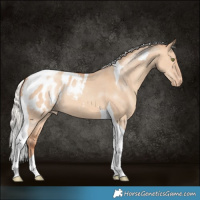 Horse Color:Silver Amber Champagne Dun Tobiano Blanket 