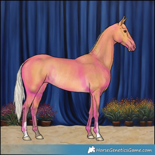 Horse Color:Silver Buckskin Rabicano 