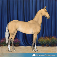 Horse Color:Silver Buckskin Rabicano 