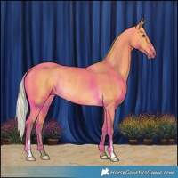 Horse Color:Silver Buckskin Rabicano 