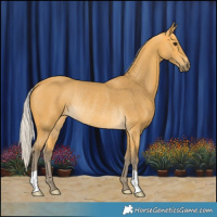 Horse Color:Silver Buckskin Rabicano