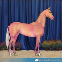 Horse Color:Silver Buckskin Rabicano 