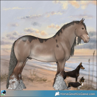 Horse Color:Liver Red Dun Mushroom Sabino Rabicano 