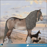 Horse Color:Liver Red Dun Mushroom Sabino Rabicano