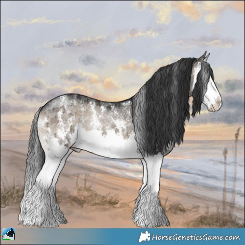 Horse Color:Grullo Onyx Sabino Splash Rabicano Brindle 