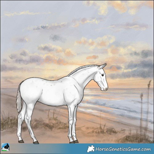 Horse Color:Liver Red Dun Onyx Mushroom Sabino Rabicano Brindle 