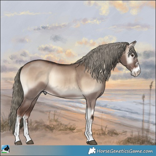 Horse Color:Liver Red Dun Onyx Mushroom Sabino 