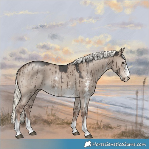 Horse Color:Liver Red Dun Mushroom Sabino Brindle 