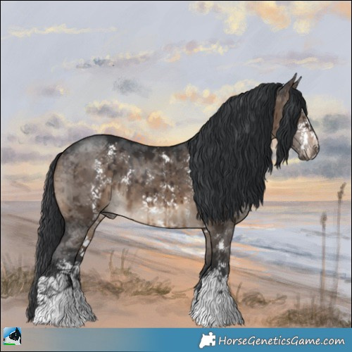 Horse Color:Brown Dun Sabino Brindle 