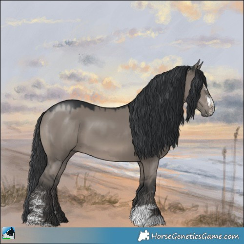 Horse Color:Grullo Sabino Rabicano 