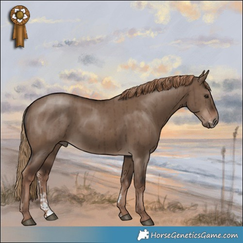 Horse Color:Liver Red Dun Sabino Brindle 