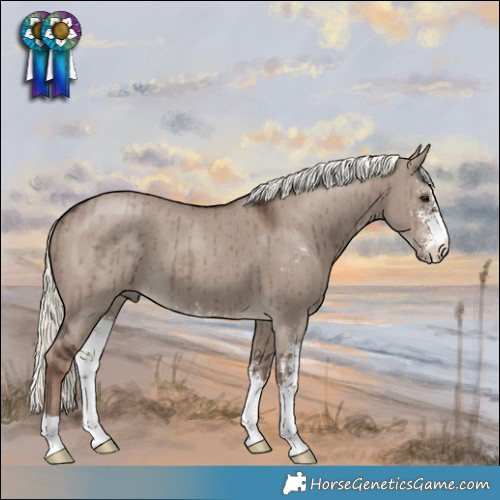 Horse Color:Liver Red Dun Mushroom Sabino Brindle 