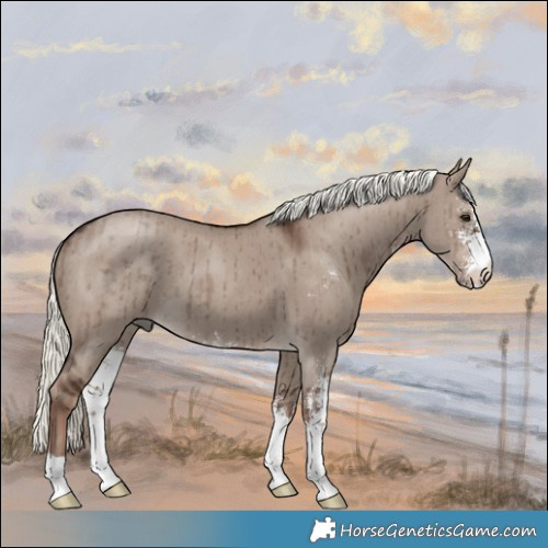 Horse Color:Liver Red Dun Mushroom Sabino Brindle 