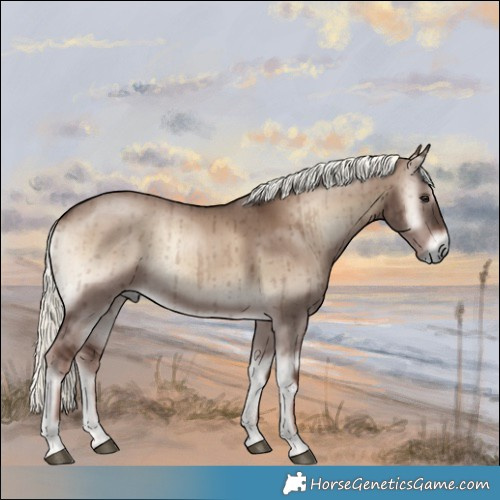 Horse Color:Liver Red Dun Onyx Mushroom Rabicano Brindle 