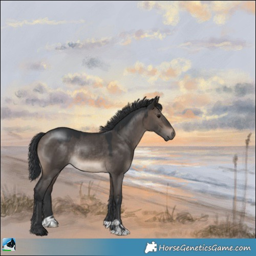 Horse Color:Brown Dun Mushroom Rabicano 
